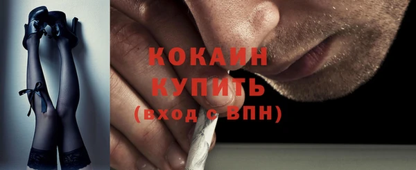 стаф Аркадак