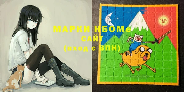 стаф Аркадак