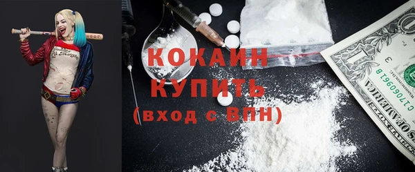 стаф Аркадак